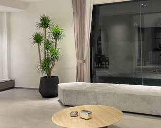 �����̻�����ֲ��